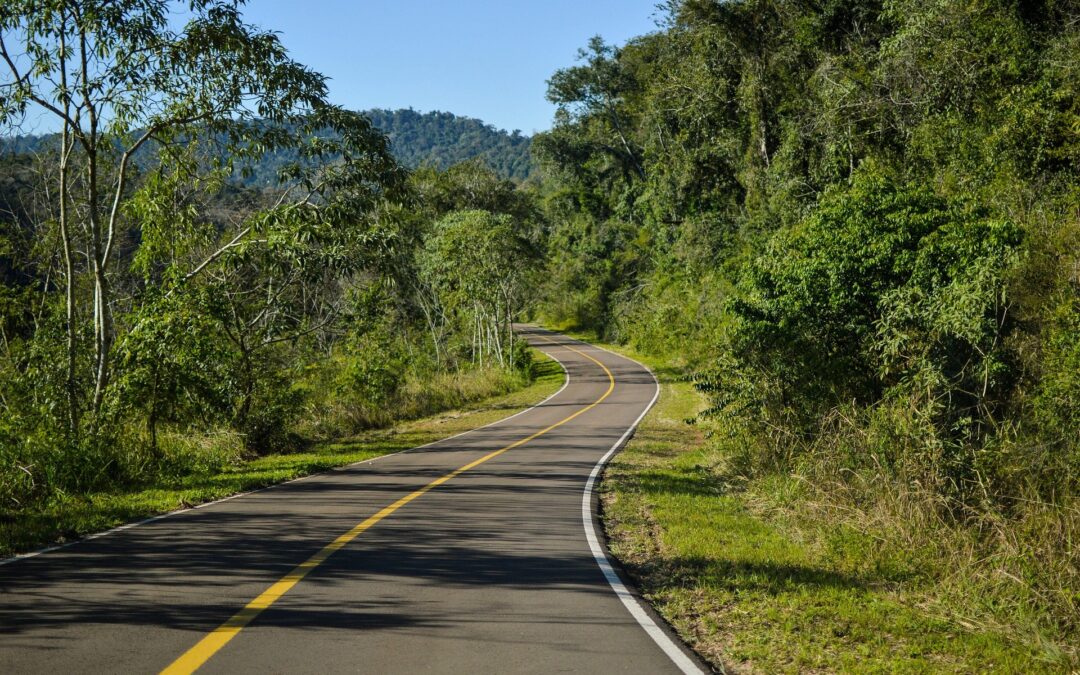 carretera vehículo diesel
